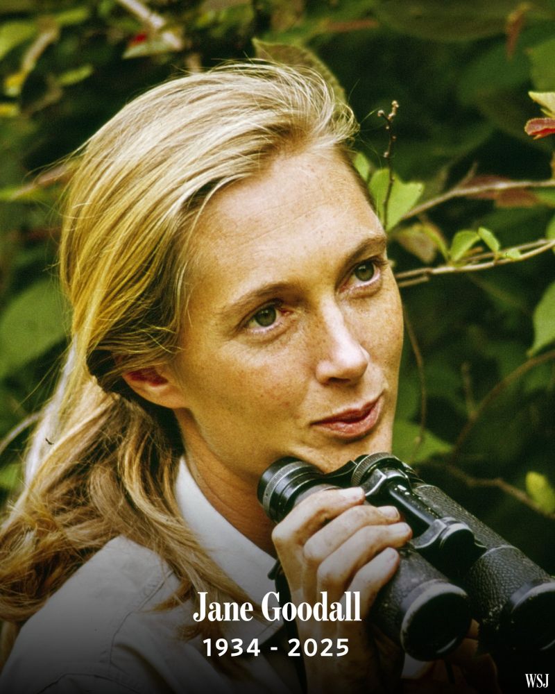 Remebering Jane Goodall